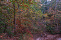 6001 Tunica Hills, Spring