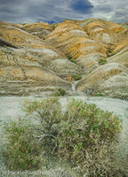 Alluvial Foothills