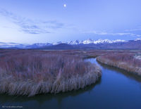 Big Pine Moonset