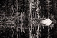 The Two Lenses You’ll Need for Landscape Photography