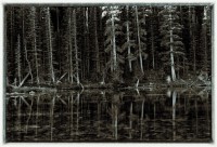 Dream Lake Sentinels
