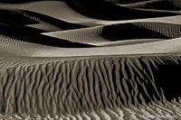 Dune Shadows