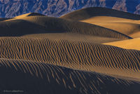 Dune Waves