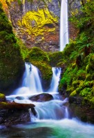 3 Reasons to Use a Film Camera for a Landscape Photography Shoot