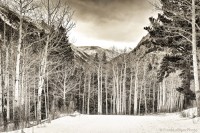 A Quick Guide to Choosing the Right Picture Frames for Your Photos