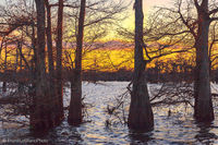 Henderson Lake (Winter Sunset)