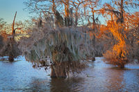 Henderson Swamp, Sunset
