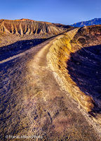 Little Hebe's Edge