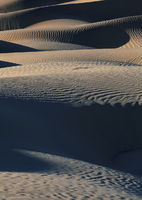 Mesquite Dunes No. 2