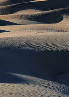 Mesquite Dunes No. 2