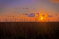 Sabine NWR