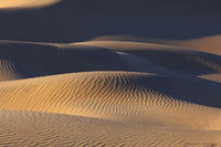 Sidewinder