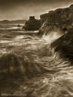 Wave Action