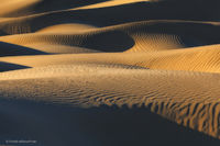 Waves of Sand