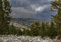 White Mountain Landscape