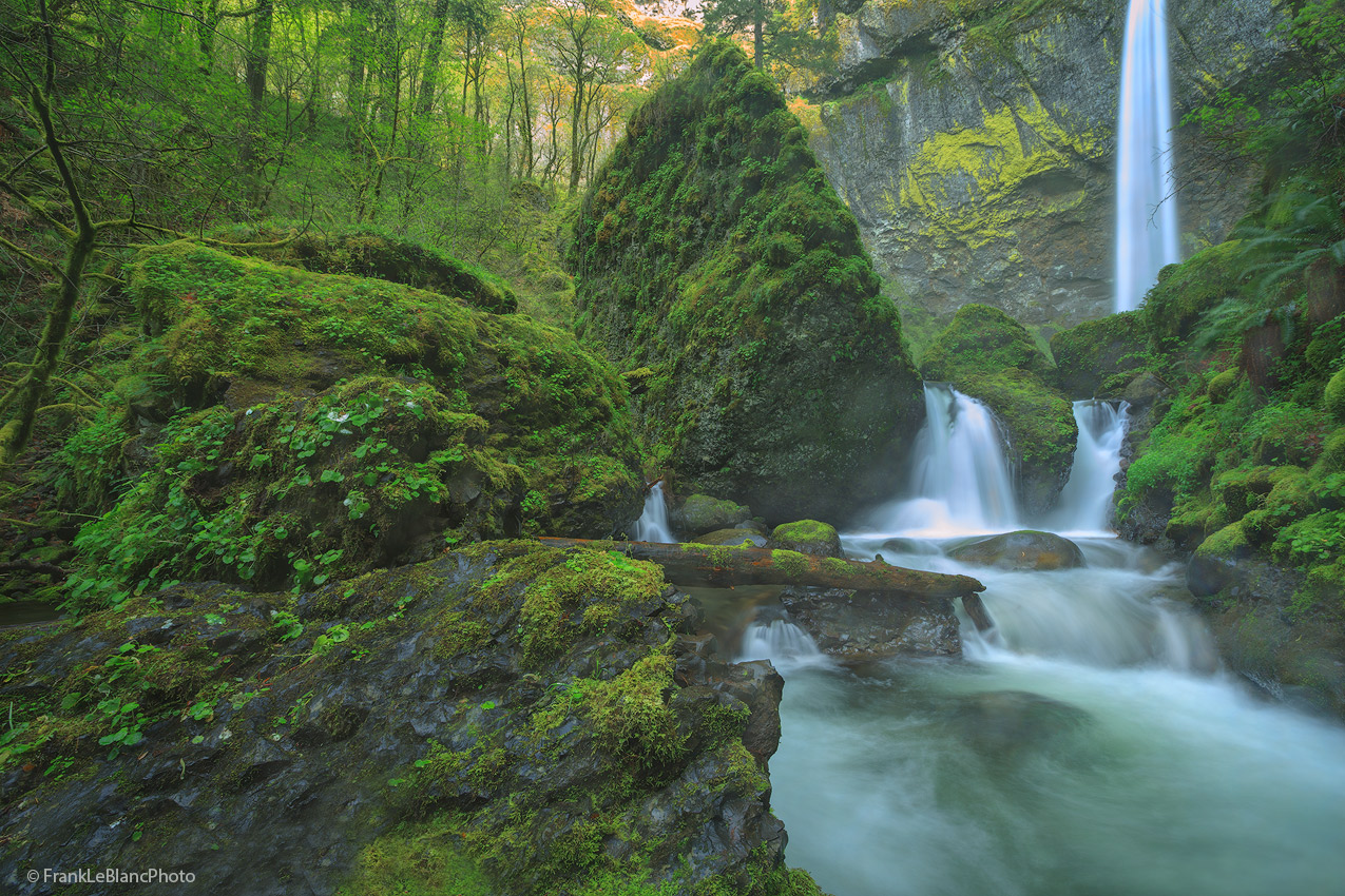 oregon, columbia, river, gorge, rain, mist, waterfalls