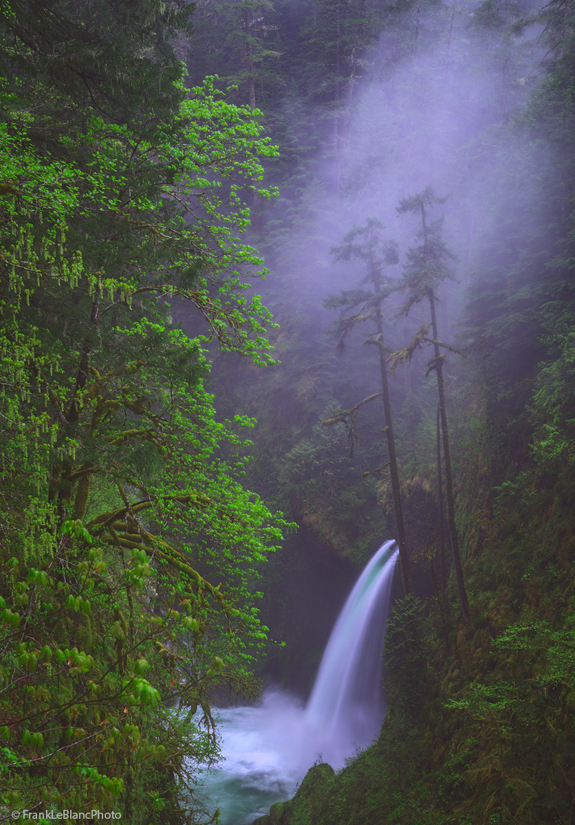 oregon, columbia, river, gorge, rain, mist, waterfalls
