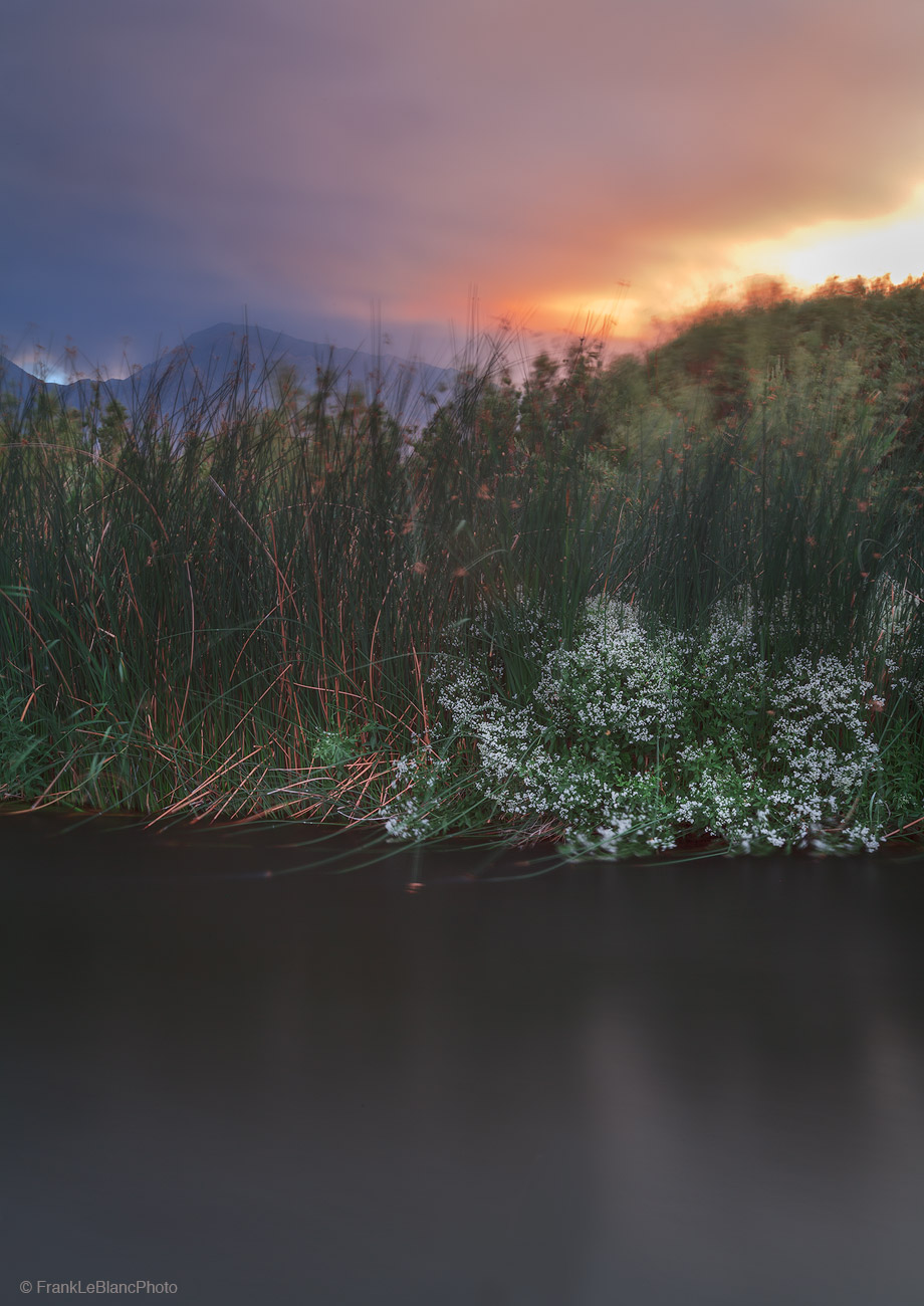 Strong wind currents contrast with the smooth texture and opaque shadows of the swiftly passing river. Reeds, grasses and flowers...