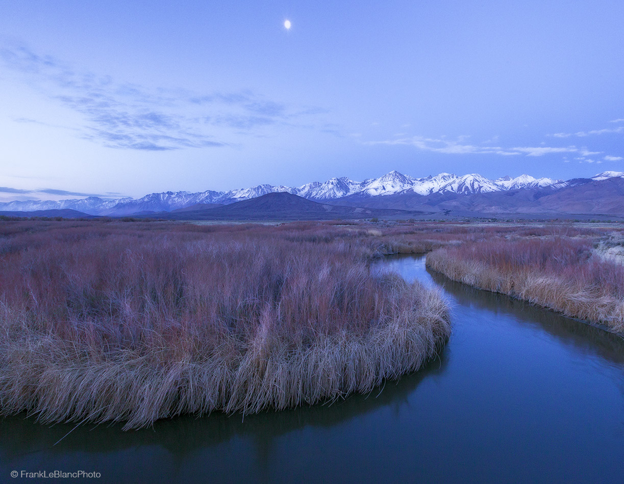 california, owens, valley, river, sierra, nevada, eastern, moutains, spring, trees, foliage, cottonwood, willow, rabbit brush...