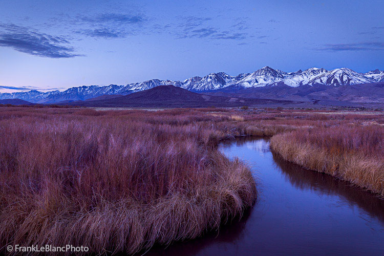 Willows, river reeds and other grasses stretch to the edge of the volcanic tableland and the small town of Big Pine, California...