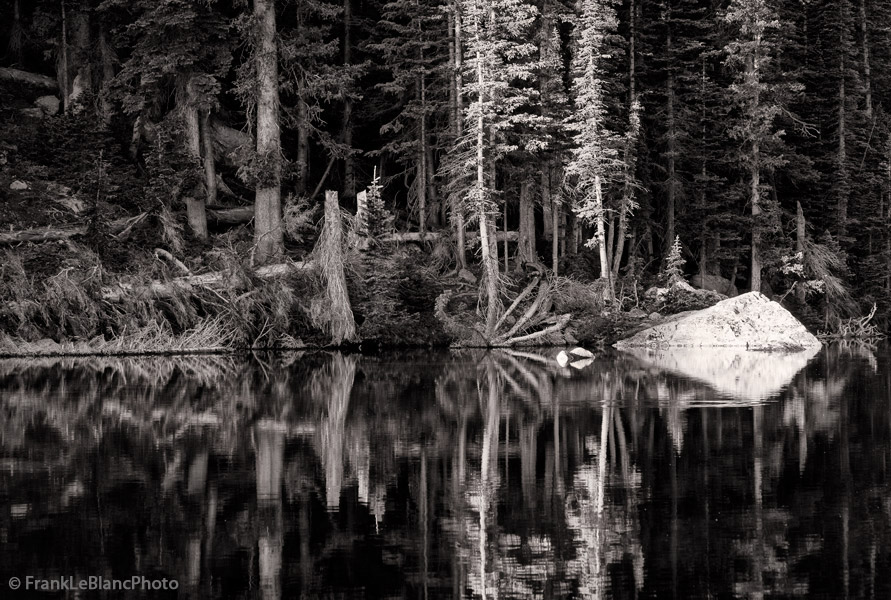 beautiful forest, deep reflections in mountain lakes