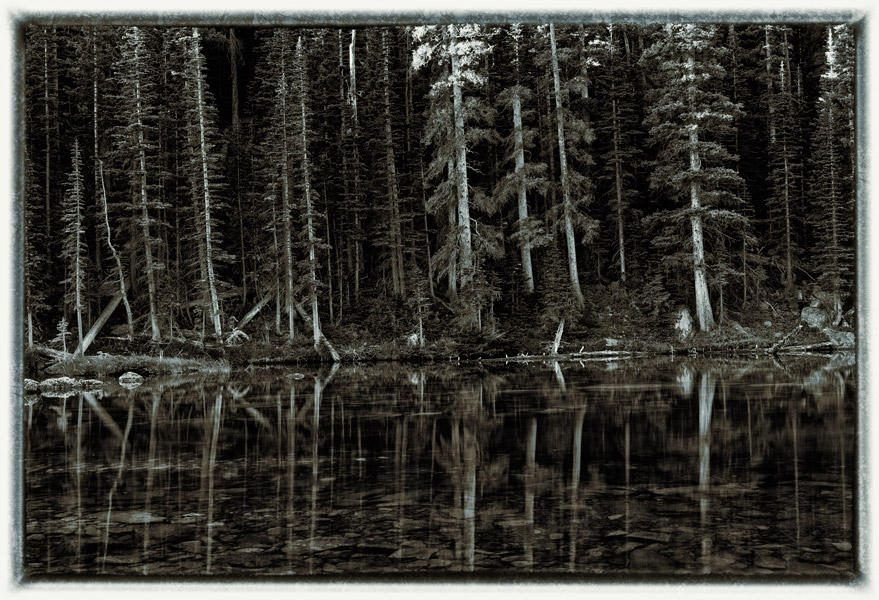 Deep reflections of forest trees&nbsp;in Dream Lake. Summer light gives a clear view of the repetitious pattern of trees lining...