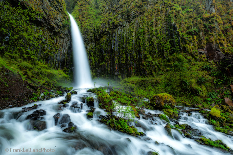 oregon, columbia, river, gorge, rain, mist, waterfalls, spring, water, fall, forest