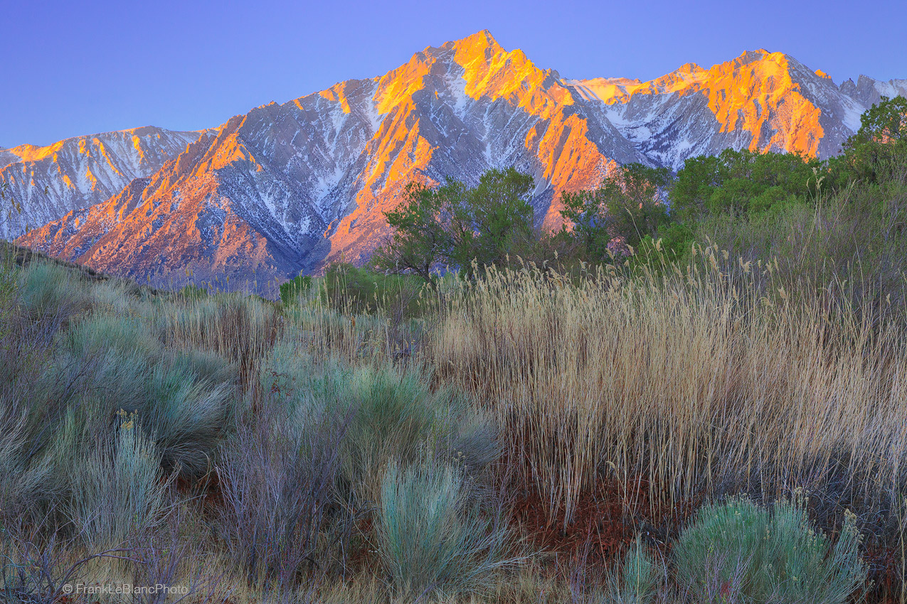 california, owens, valley, river, sierra, nevada, eastern, moutains, spring, trees, foliage, cottonwood, willow, rabbit brush...