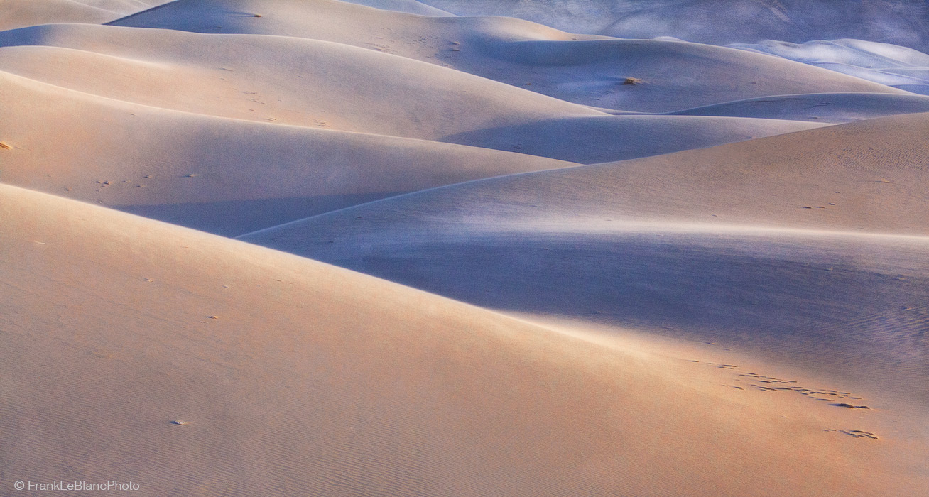 Arriving at Eureka Dunes just in time for a sandstorm was a great photographic opportunity. However, protecting the camera was...