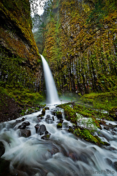 Spring rain provides clear light and wet surfaces. Deafening roar as water rushes by and mist rises above.