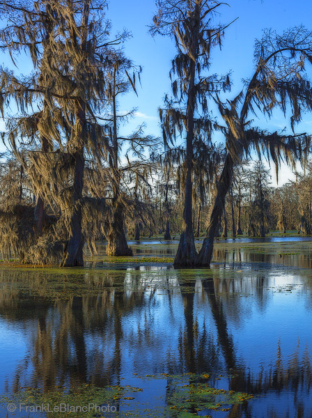 Lake Martin Serenity