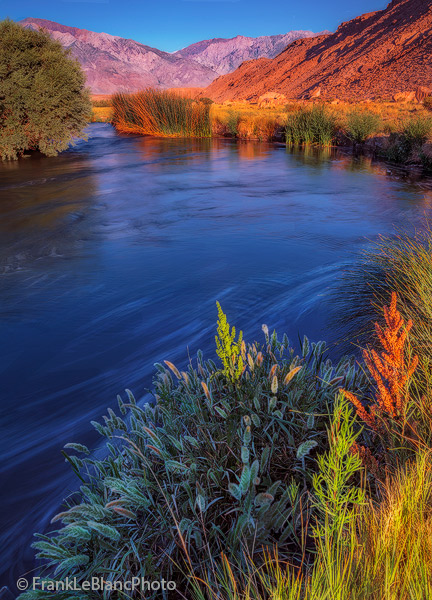 The Owens is running full from spring runoff and it's water makes a gurgling sound as it pushes against reeds and grasses along...