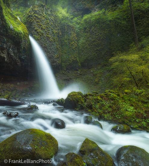 oregon, columbia, river, gorge, rain, mist, waterfalls, spring, water, fall, forest