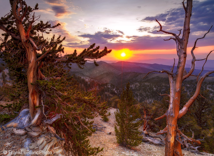 Schulman Grove Sunrise 2