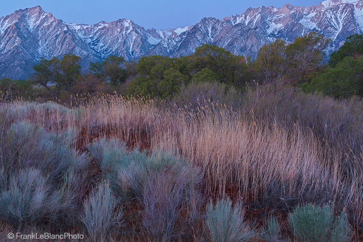 Sierra Grassland