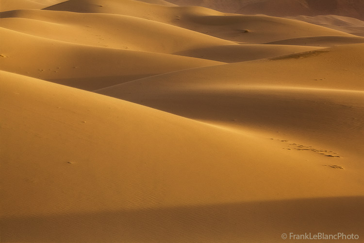 The sand moves continually even in the slightest breeze. After strong winds had subsided the view shown here seemed remarkably...