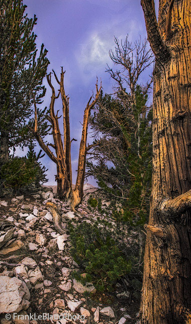 An electrical storm forming up over the mountains made it necessary to set up fast for this picture. The polarized lighting brings...